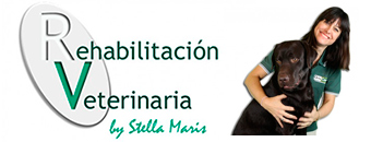 Rehabilitacin Veterinaria