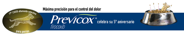 Previcox celebra su 5 aniversario